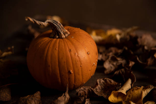 istock Autumn still life with pumpkin in the dusk. 1279538345