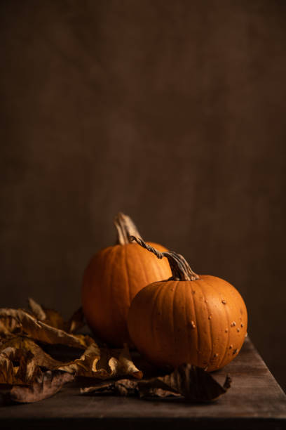 istock Two pumpkins, dry autumn leaves in the shadow. 1279540163