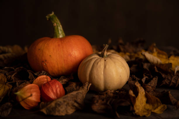 istock Orange and yellow pumpkin on dark background 1279540492