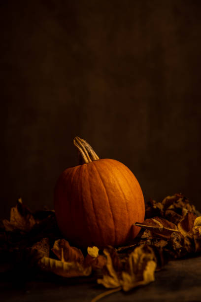 istock Autumn, still life with pumpkin and dry leaves 1279541103