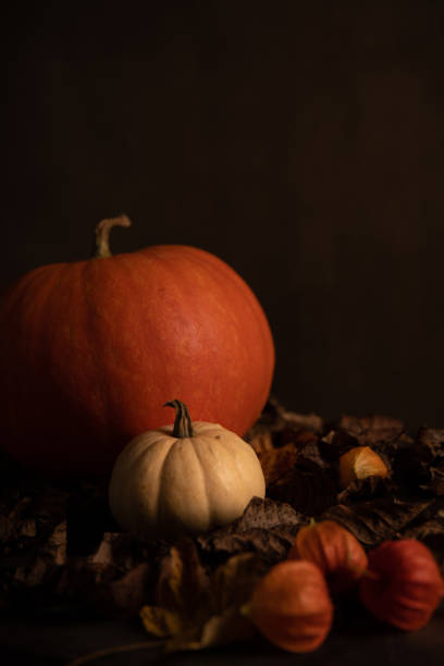 istock Two pumpkins and dry leaves in a barn 1279541159
