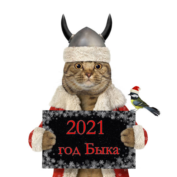 istock Cat in viking Santa helmet 1279542015