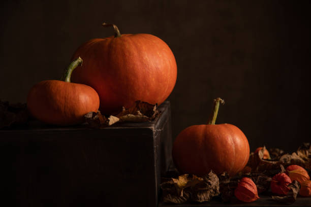 istock Three pumpkins and dry leaves in the barn 1279542081