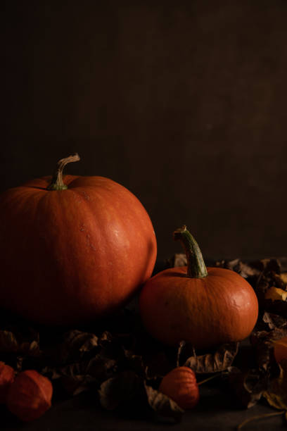istock Autumn pumpkins decoration 1279542082