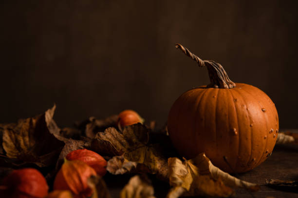 istock Autumn pumpkin in the shadow 1279542083