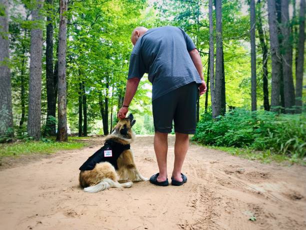 정신 건강 서비스 개와 소유자는 야외에서 함께 작동합니다. - nature dog alertness animal 뉴스 사진 이미지