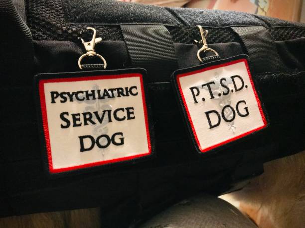 Mental Health Service dog vest close up, with PTSD and psychiatric tags. stock photo