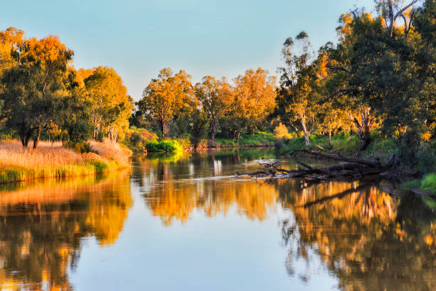 istock Dubbo river foot bridge 2 south close 1279548555