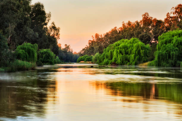 istock Dubbo North River rise 105mm 1279548568