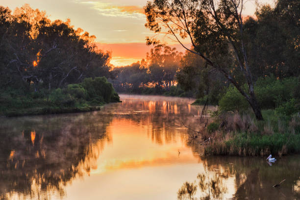 istock Dubbo rail river pelikan rise 1279548597