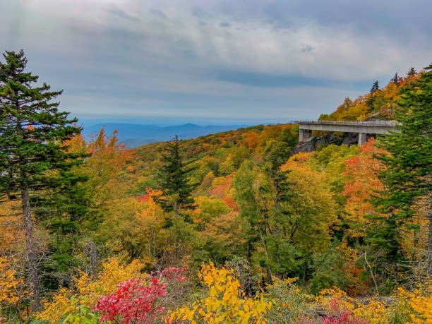 istock Autumn colors on the Blue Ridge Parkway 1279552161