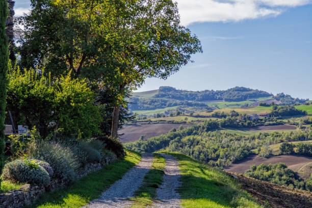 istock dirt road on the Piacenza hills 1279554988
