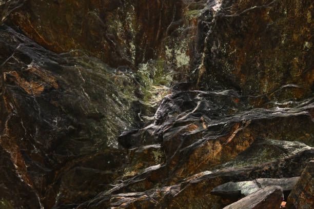 Medium close shot of rock outcrop in the Connecticut countryside, consisting partially of glacially polished hornblende gneiss. The hornblende gives the outcrop its dark-green to black color.