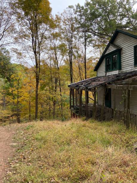 istock Old house in the woods 1279557423