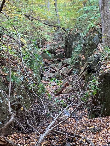 istock Rocky incline in the Woods 1279557450