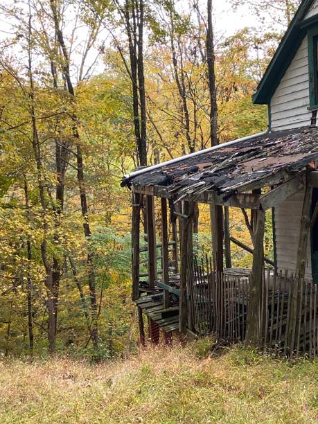 istock Collapsing House in the Woods 1279557451