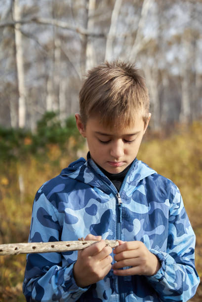 istock Boy makes a toy pipe from dried wild dill. 1279557618