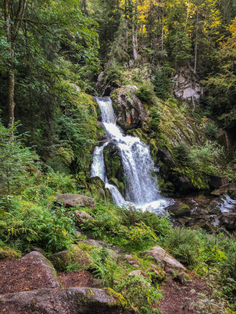 istock Nice view of the 