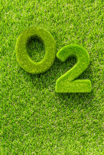 Oxygen formula consisting of grassy green numbers on green grass. Conceptual image of caring for the balance of the global ecosystem guarantees the natural production of the oxygen we breathe.