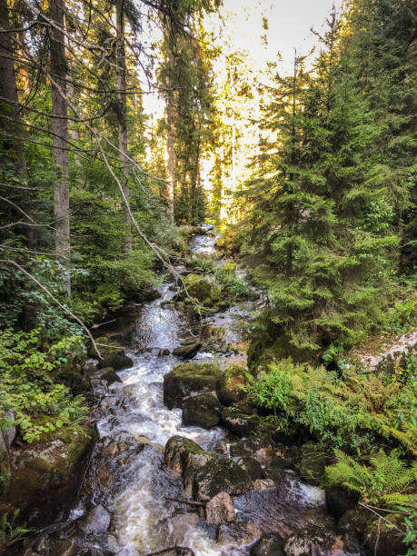 istock Nice view of the 