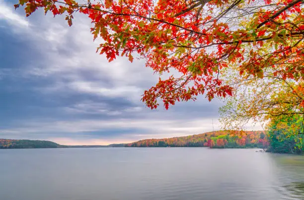 Bon Echo Provincial Park with scenic fall color view of Mazinaw Lake under red black oak tree and autumn moody sky