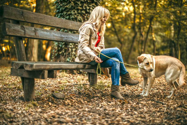 istock woman walking with her dog 1279561632