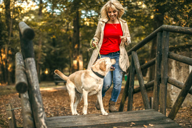 kobieta spaceru z psem - action dog outdoors animal trainer zdjęcia i obrazy z banku zdjęć