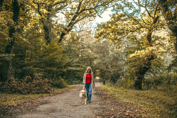istock woman walking with her dog 1279561789