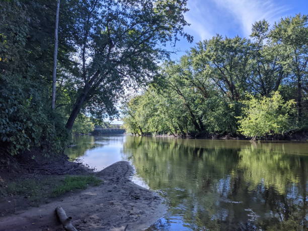 istock A river flowing through the woods 1279563260