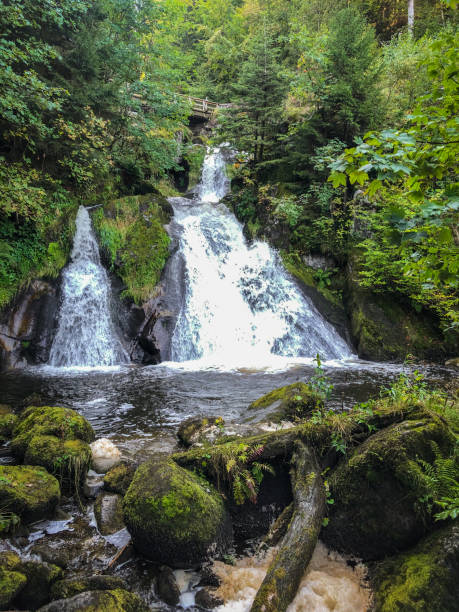 istock Nice view of the 