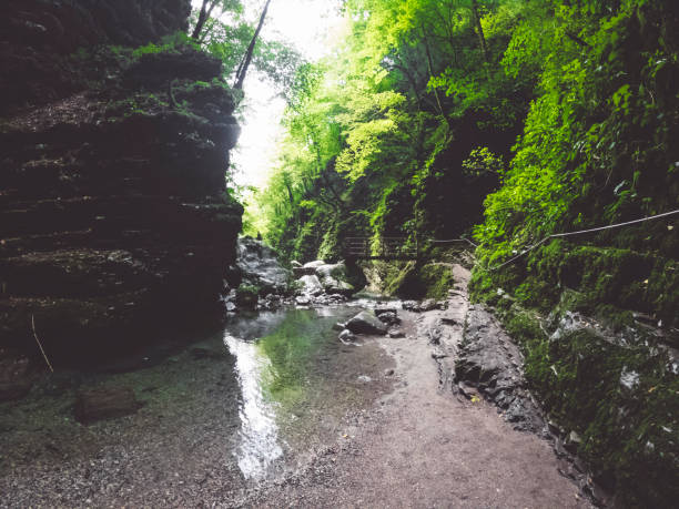 istock Tourist trail running trough the canyon 1279563574