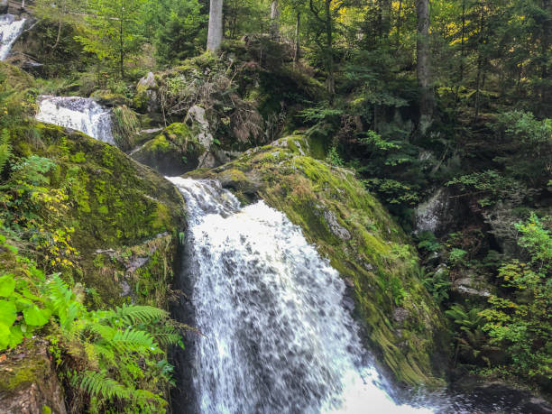 istock Nice view of the 