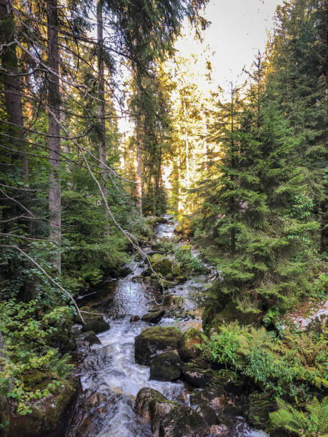 istock Nice view of the 