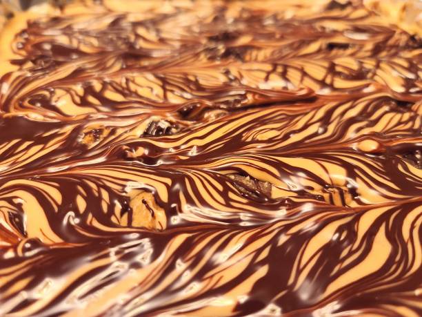 istock Chocolate peanut butter fudge 1279569503