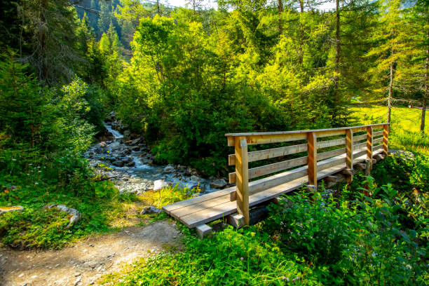 istock Wooden bridge over the creek 1279577334