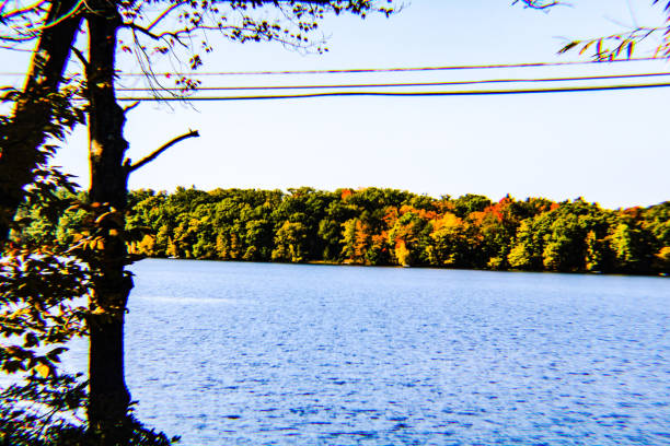 Promised Land State Park Fall Leaf Colors