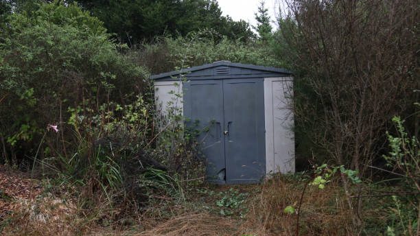 istock A shed taken by nature 1279578997