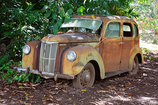 Mackay, Queensland, Australia - September 2020: A vintage car abandoned amongst trees left to rust and disintegrate
