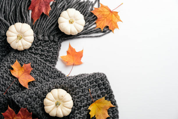 istock Autumn composition. Feminine desk table with knitted scarf, pumpkins, fall maple leaves on white background. Flat lay, top view. Nordic, hygge, cozy home concept 1279584478