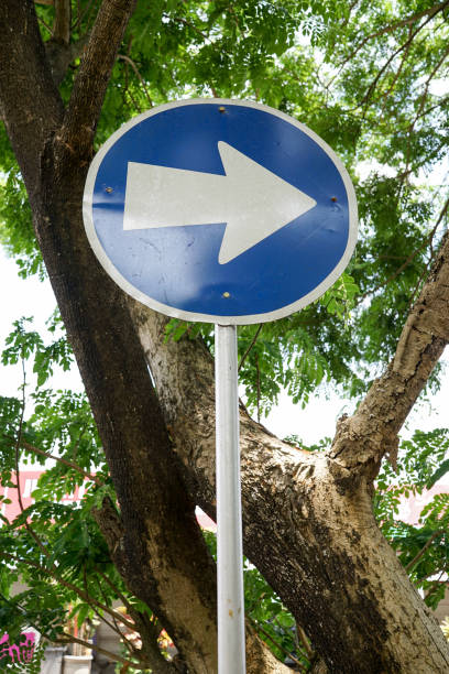 istock Blue turn right road sign with white arrow 1279585980