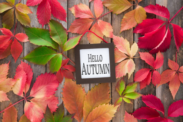 istock Colorful autumn leaves on rustic wooden background with text 1279586781