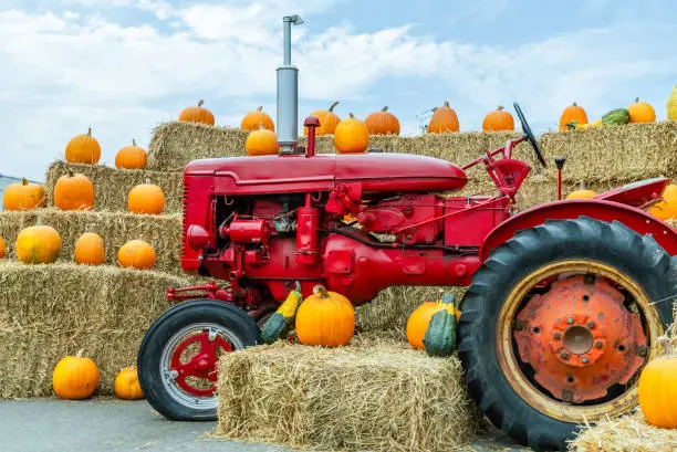 Photo of red tractor stands near briquettes of yellow hay with pumpkins