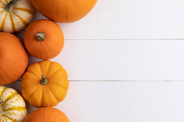 istock Pumpkins on wooden background 1279590767