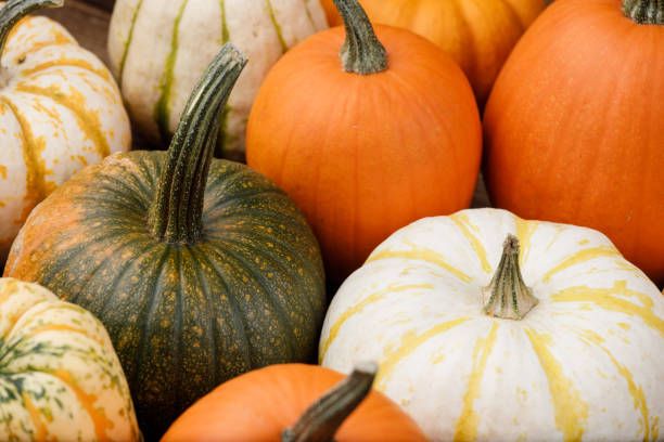 istock Assortiment of pumpkins background 1279590782