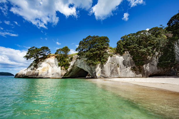 cueva en la cala de la catedral en nueva zelanda - new zealand cathedral cove sea sand fotografías e imágenes de stock