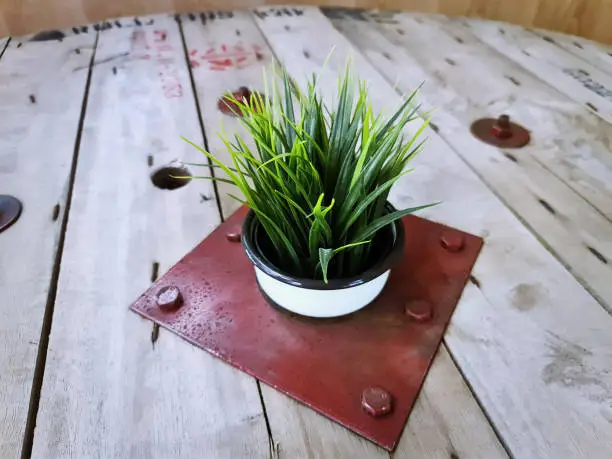 Green Artificial Potted Plant on Wooden Plank Table