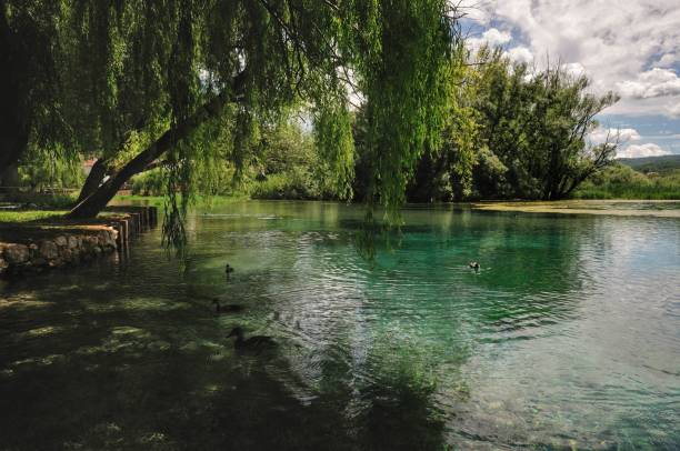 istock Posta Fibreno Lake Nature Reserve 1279594565