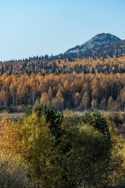 dans les environs du lac zyuratkul dans les montagnes de l’oural, automne d’or, russie - south ural photos et images de collection
