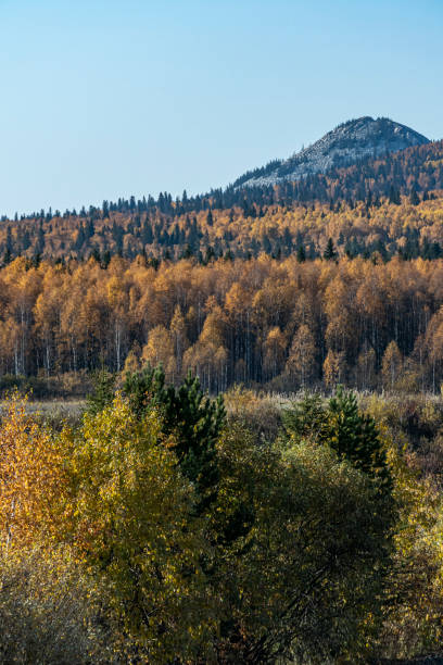 nelle vicinanze del lago zyuratkul nei monti urali, autunno dorato, russia - south ural foto e immagini stock