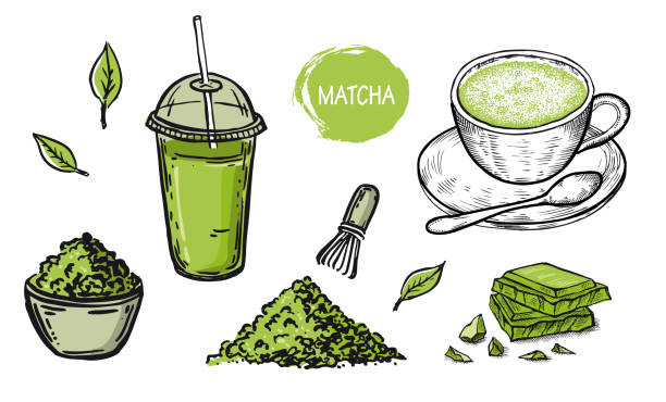 Matcha Visualization 7,500+ Matcha Illustration Stock Illustrations, Royalty-Free Vector ...